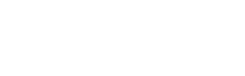 Verdem Logo